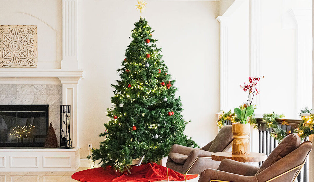 8 Ways to Reuse Your Christmas Tree